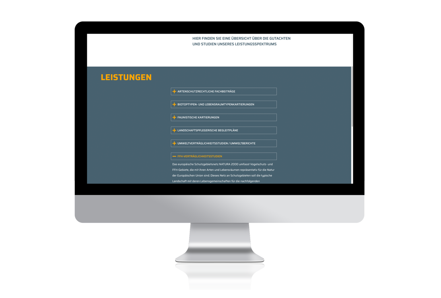 öKon Website: Arbeitsbereiche / Leistungsspektrum- Glossar als Akkordeon zum Ausklappen in dem die Fachbegriffe erläutert werden