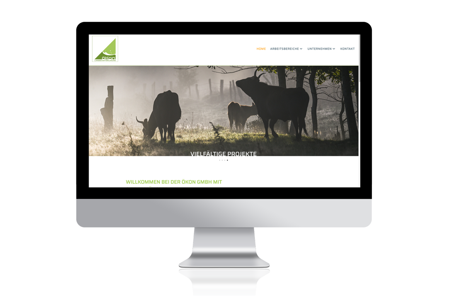 öKon Website: Homepage Slider / Vielfältige Projekte. Foto zeigt Besonderheit des Münsterlandes, Rinder auf Rieselfeld