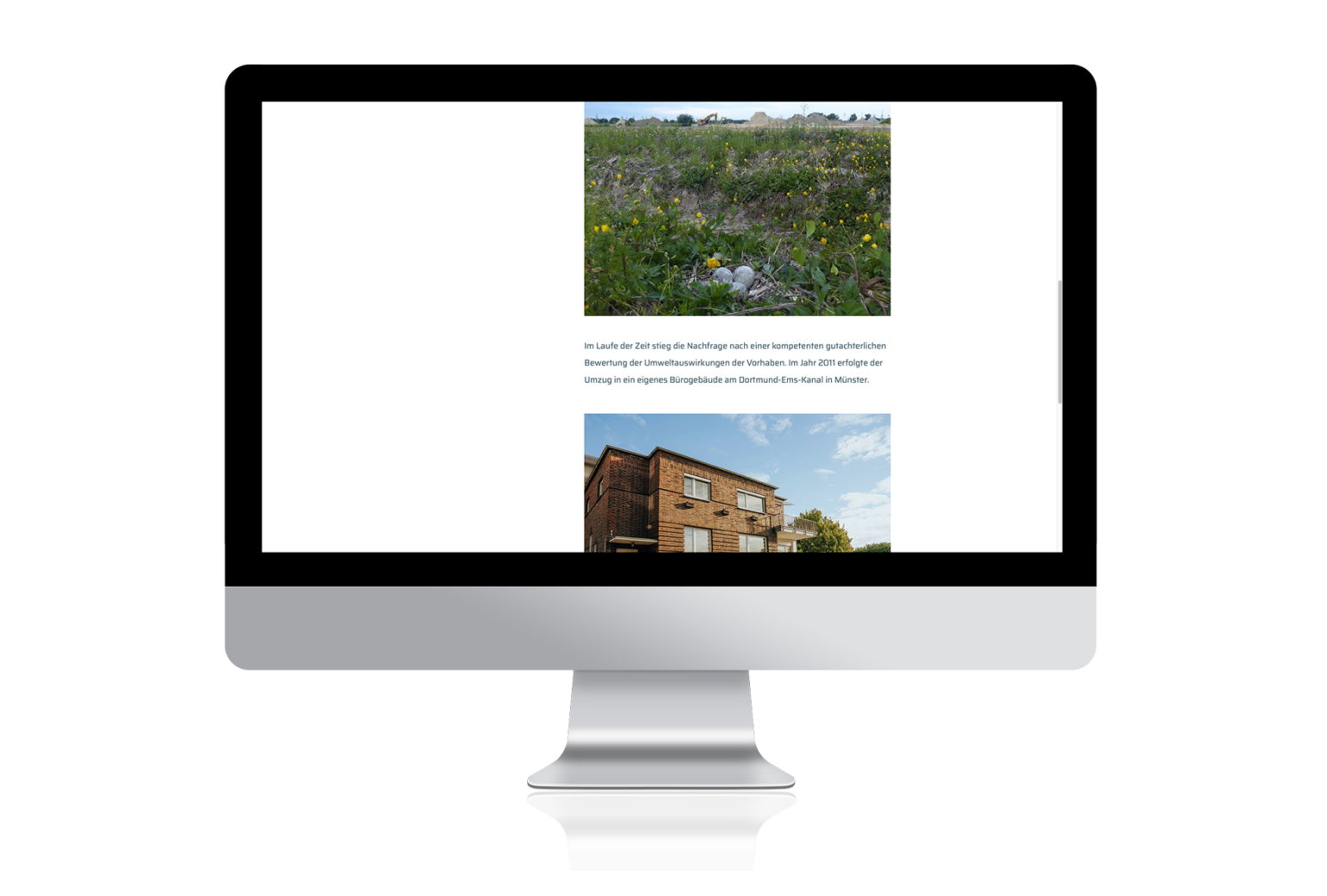 öKon Website: Unternehmen / Über uns. Foto von 3 Kiebitzeiern vor Baustelle