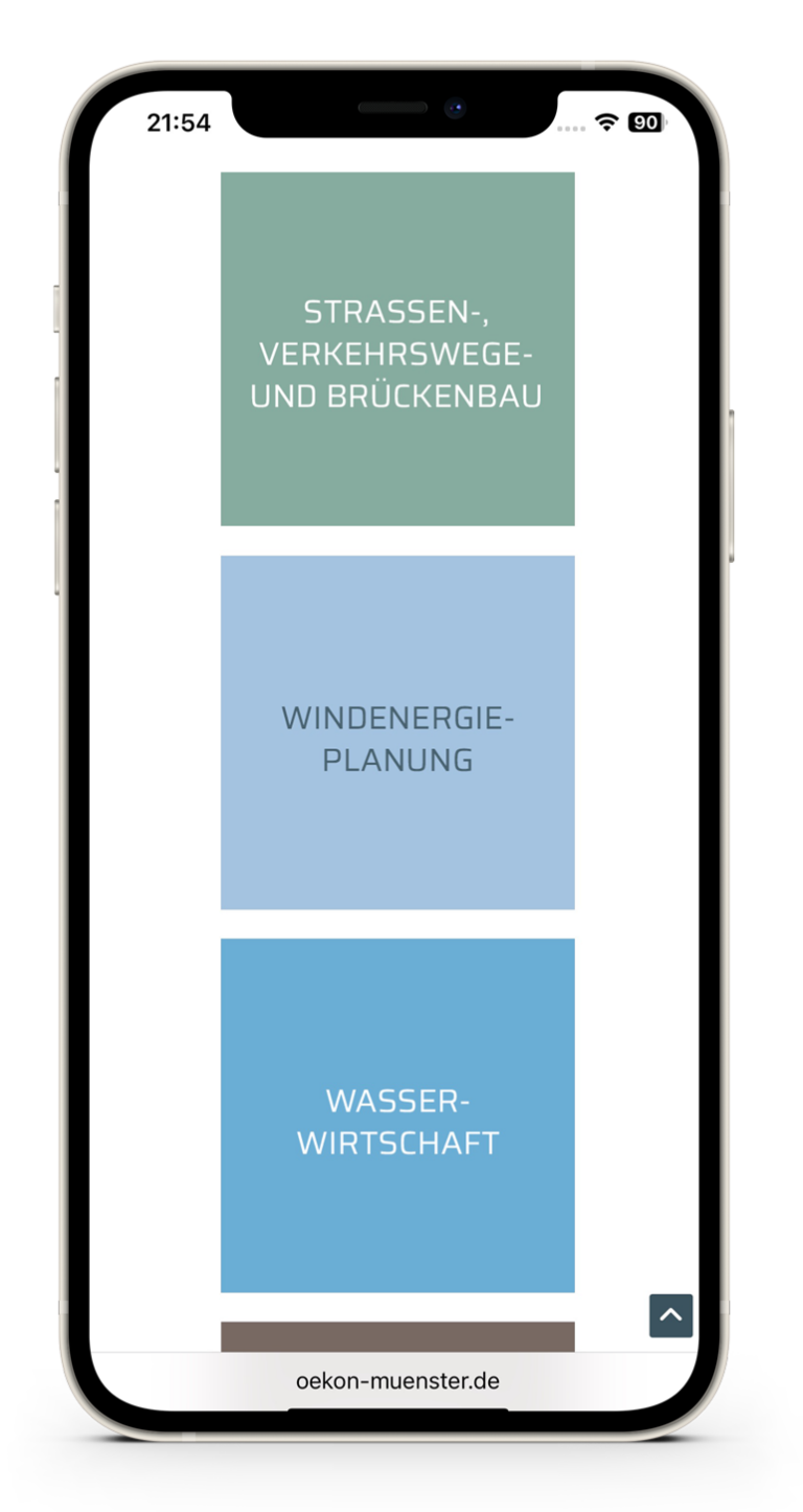 oekon-iphone-Quadrate-Kernkompetenzen-2