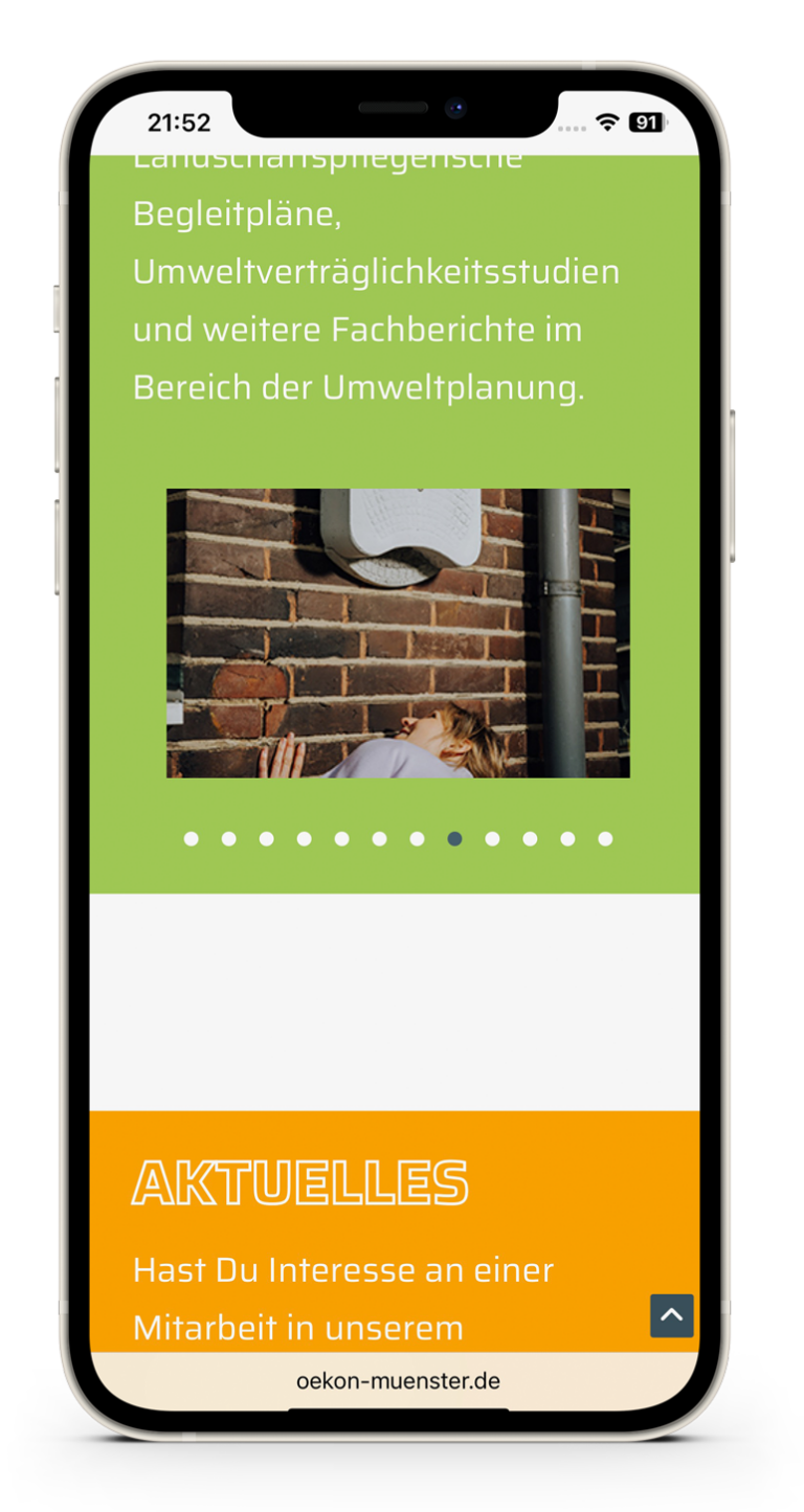 oekon-iphone-startseite-slider-fledermaus